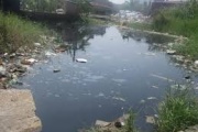Báo động tình trạng ô nhiễm môi trường nước mặt